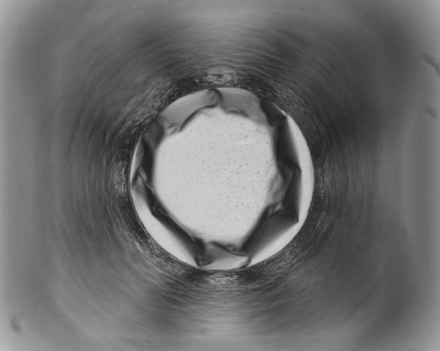 X0000099540606200806131151