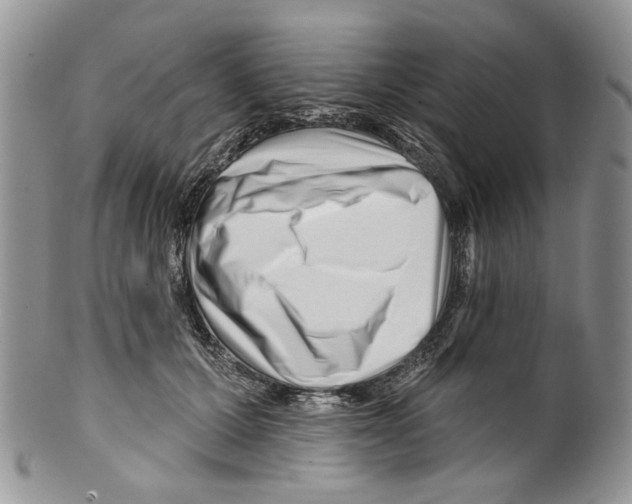 X0000099540607200806131151