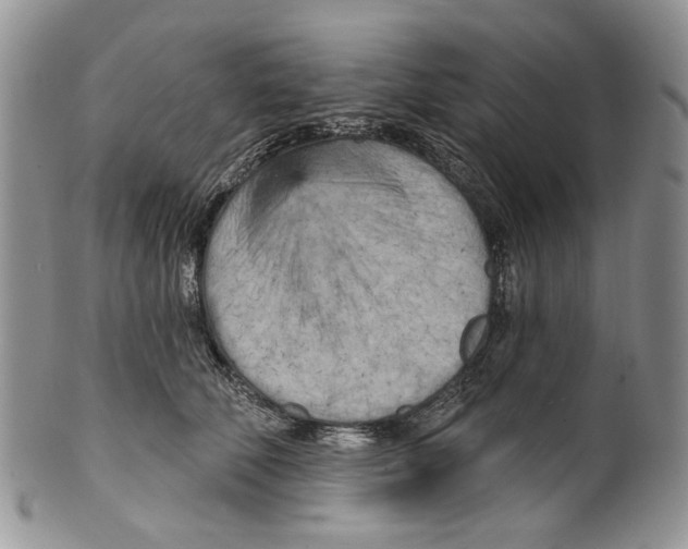 X0000099540610200806131151