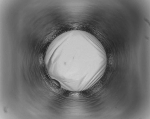 X0000099540611200806131151