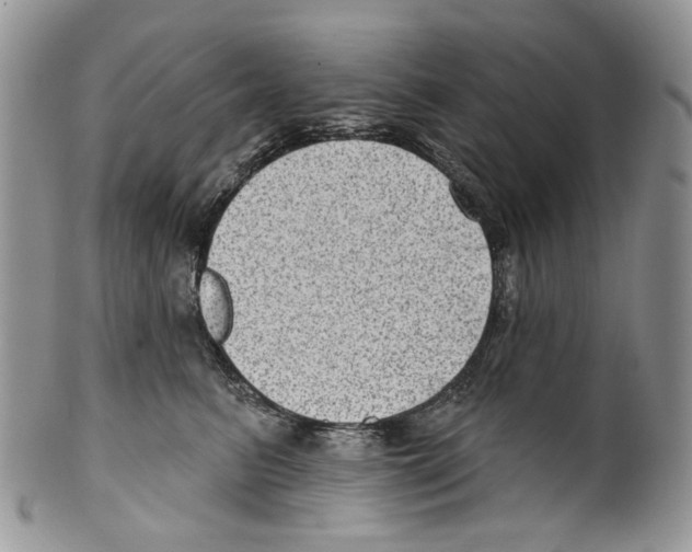 X0000099540615200806131150