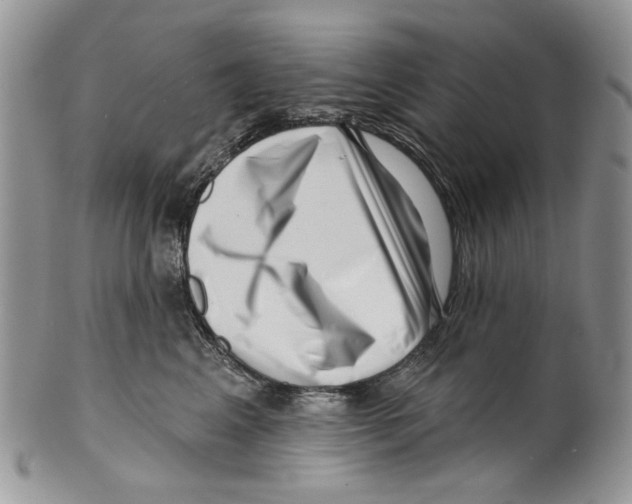 X0000099540617200806131150