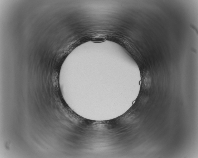 X0000099540620200806131150