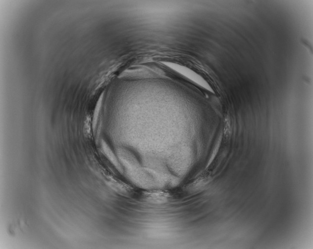 X0000099540621200806131150