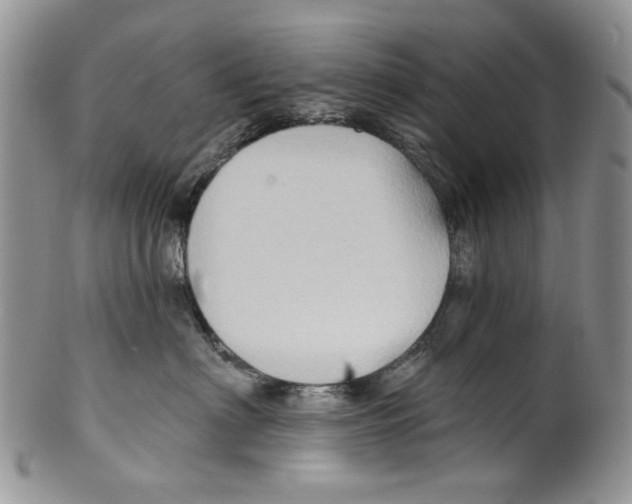 X0000099540622200806131150