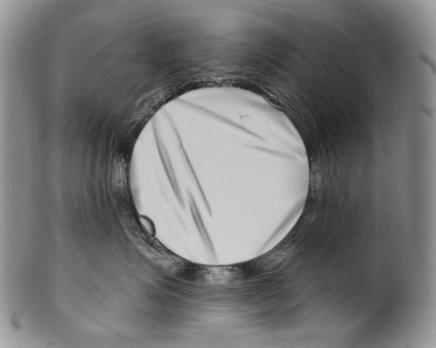 X0000099540623200806131150