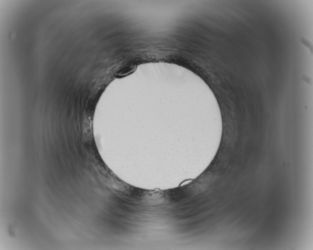 X0000099540624200806131150