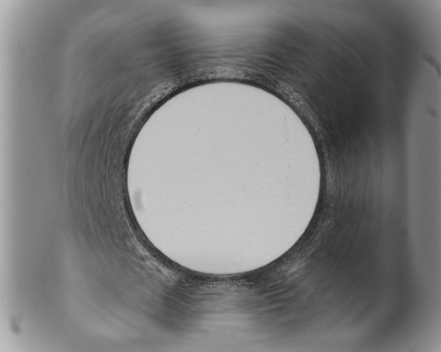 X0000099540625200806131150