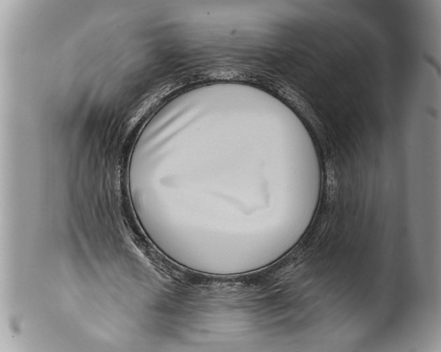 X0000099540626200806131150