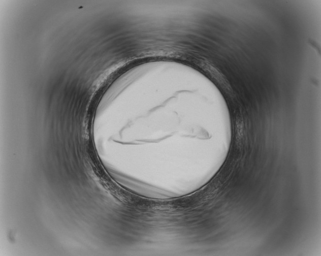 X0000099540628200806131150