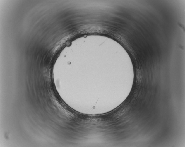 X0000099540629200806131150