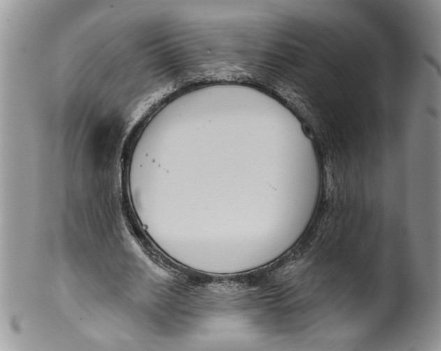 X0000099540630200806131150