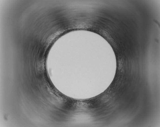 X0000099540632200806131150