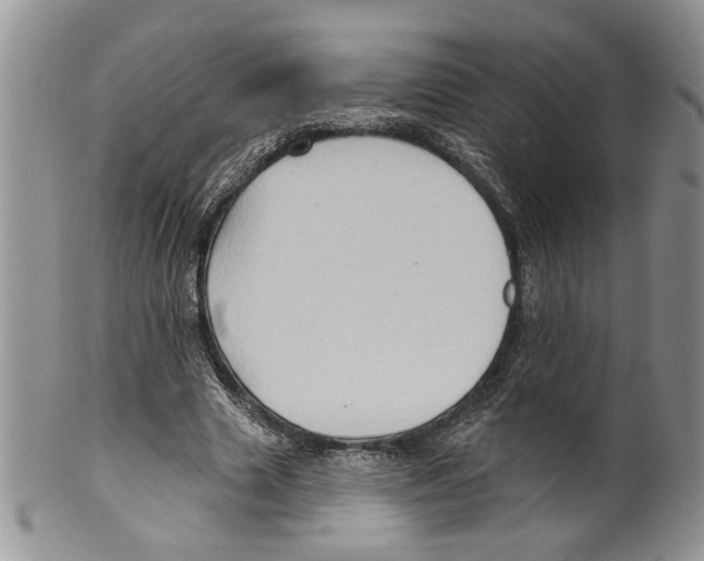 X0000099540633200806131150