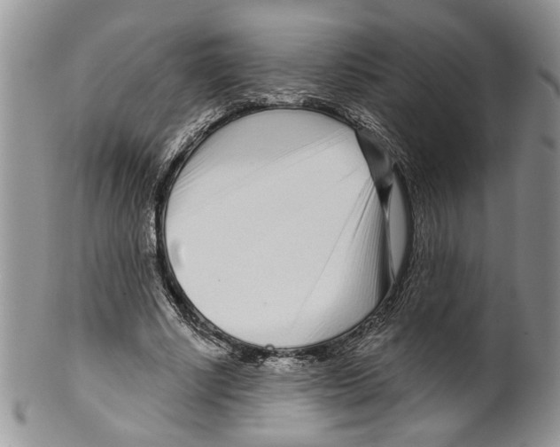 X0000099540634200806131150