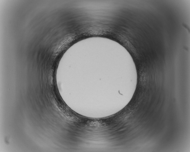 X0000099540635200806131150