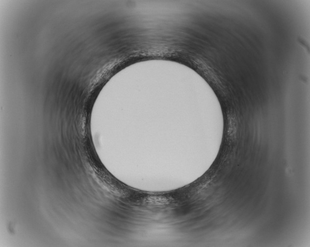 X0000099540636200806131150