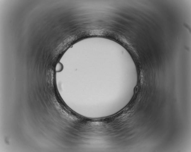 X0000099540637200806131150