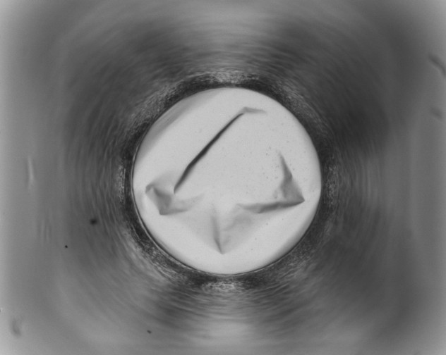 X0000099540639200806131150