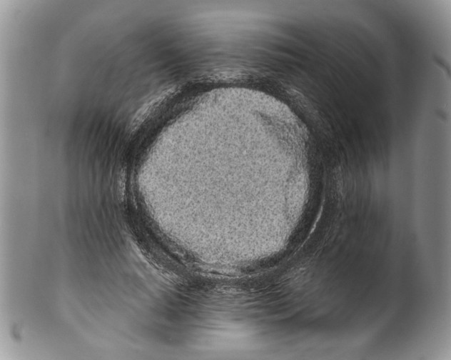 X0000099540640200806131150