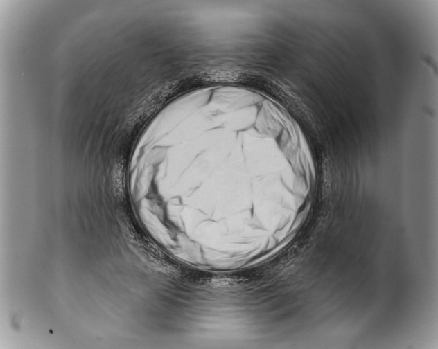 X0000099540641200806131150