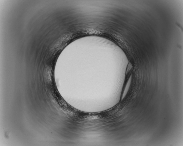 X0000099540643200806131150