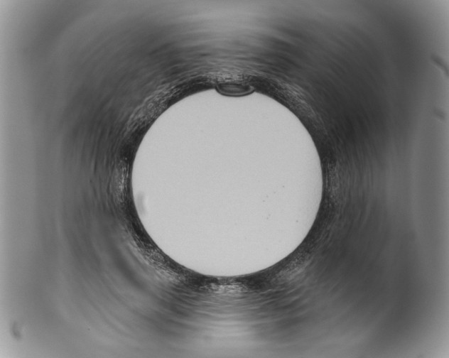 X0000099540645200806131150