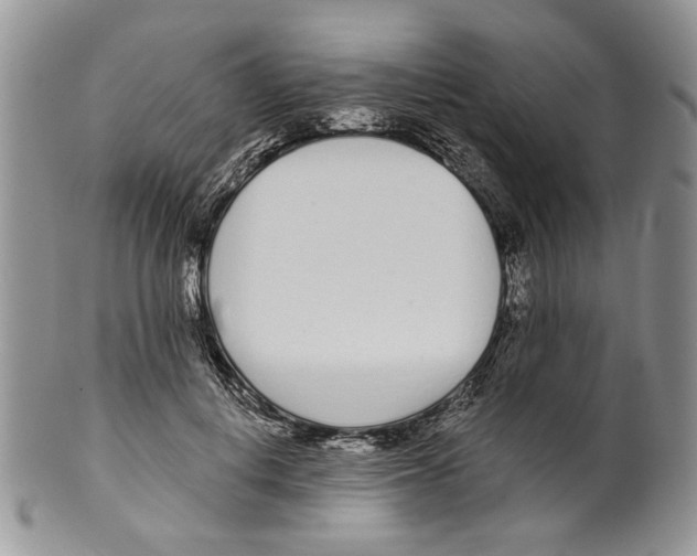 X0000099540648200806131150