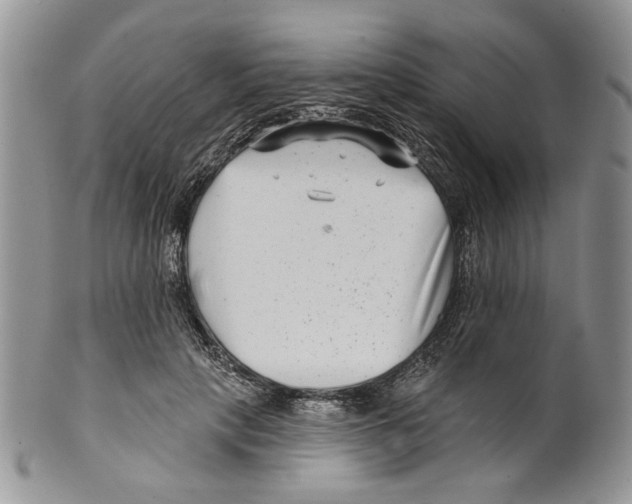 X0000099540649200806131150