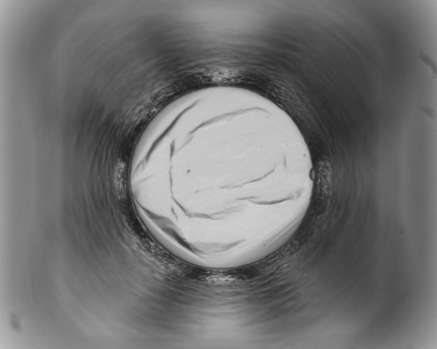 X0000099540650200806131150