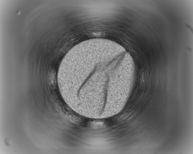 X0000099540651200806131150