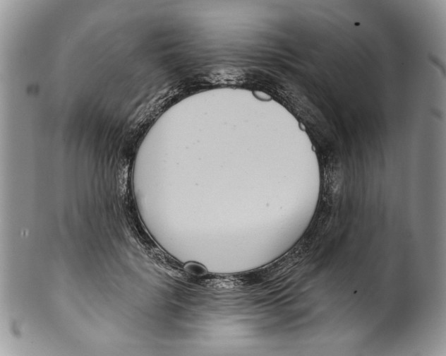 X0000099540652200806131150