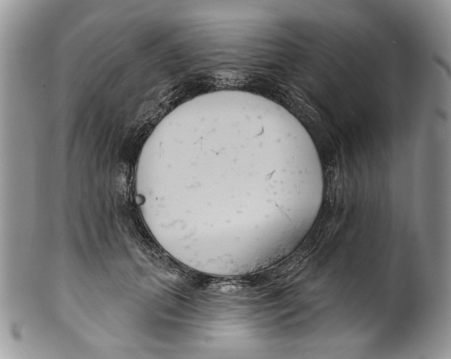 X0000099540655200806131150