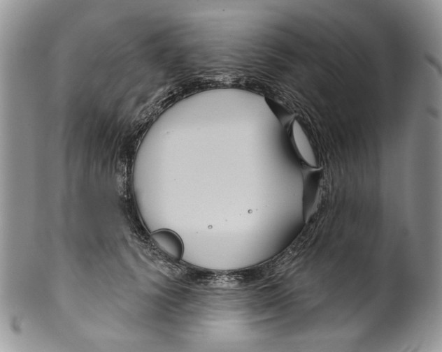 X0000099540656200806131150