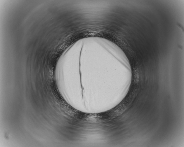 X0000099540657200806131150