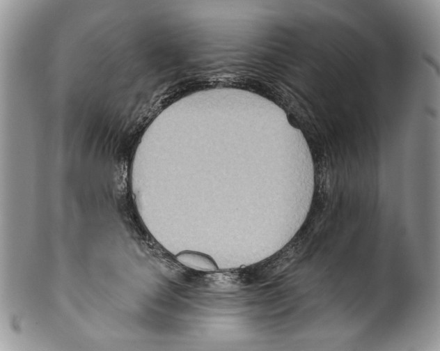 X0000099540660200806131150