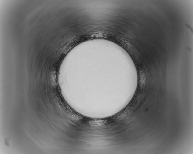 X0000099540661200806131150