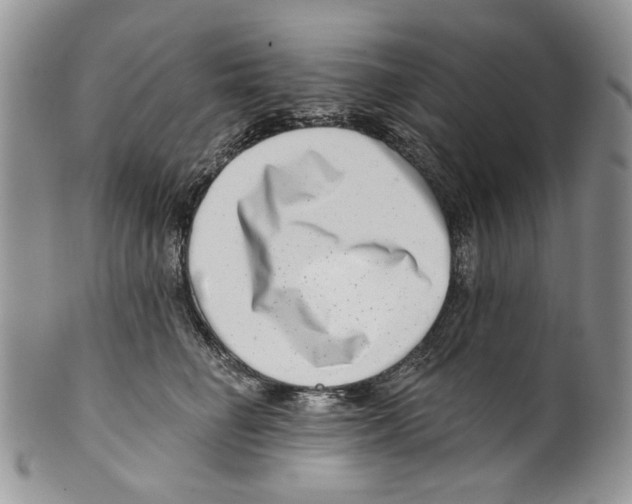 X0000099540662200806131150