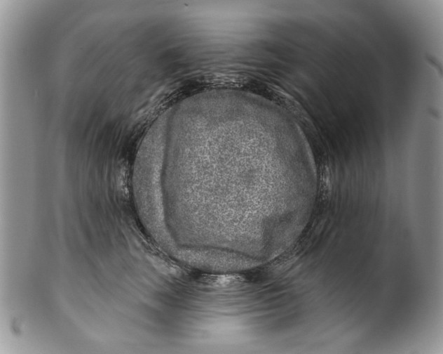 X0000099540663200806131150