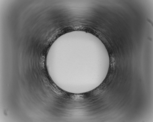 X0000099540664200806131150