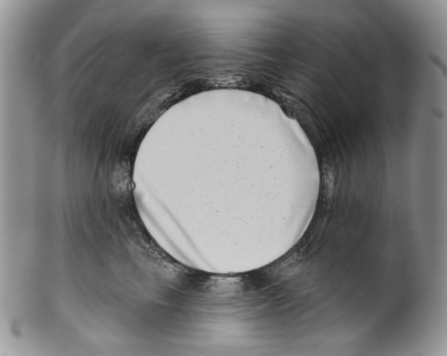 X0000099540665200806131150