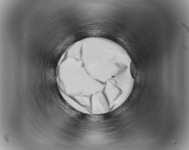 X0000099540670200806131150