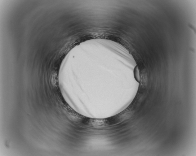 X0000099540671200806131150