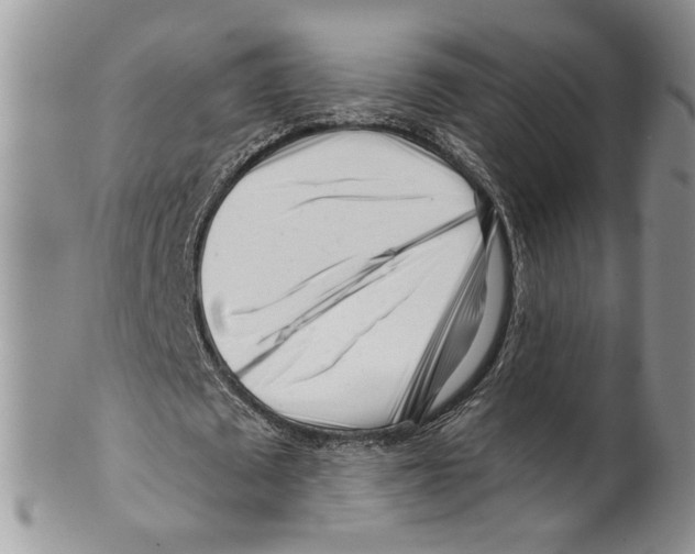 X0000099540673200806131150