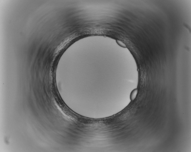 X0000099540674200806131150