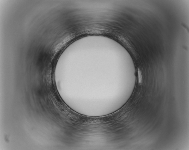 X0000099540675200806131149