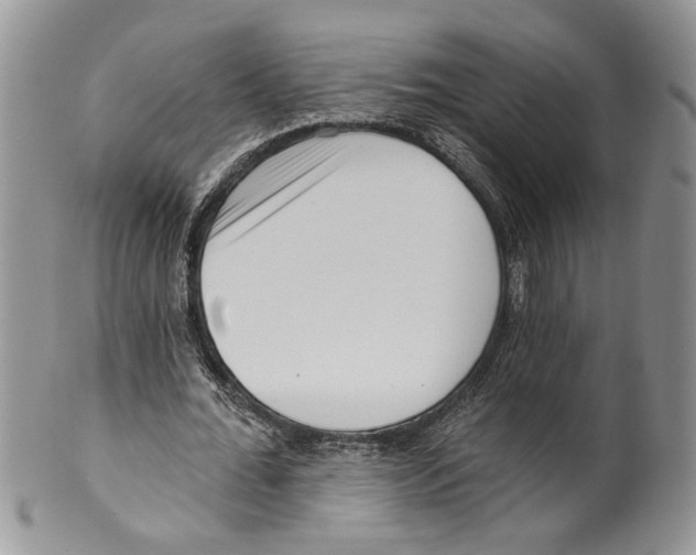 X0000099540676200806131149