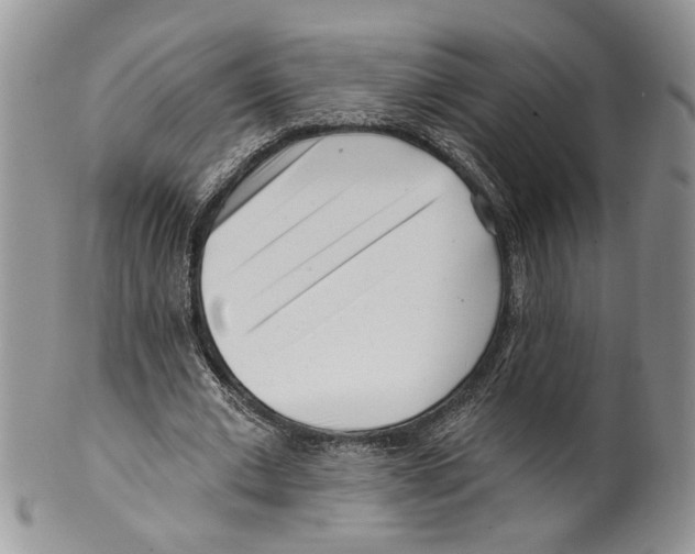 X0000099540677200806131149