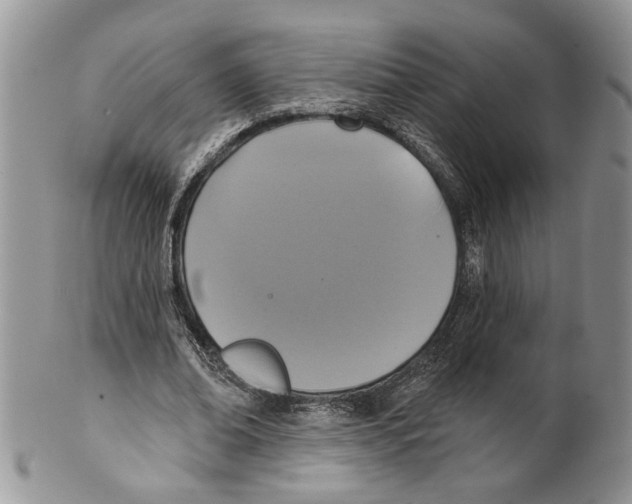 X0000099540678200806131149