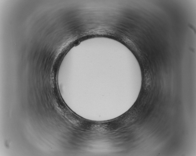 X0000099540680200806131149